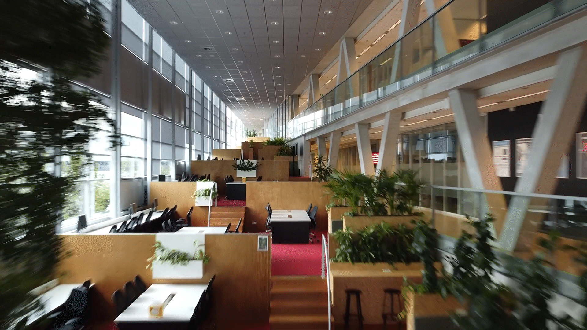 DJI_0026-Small_Gif_2